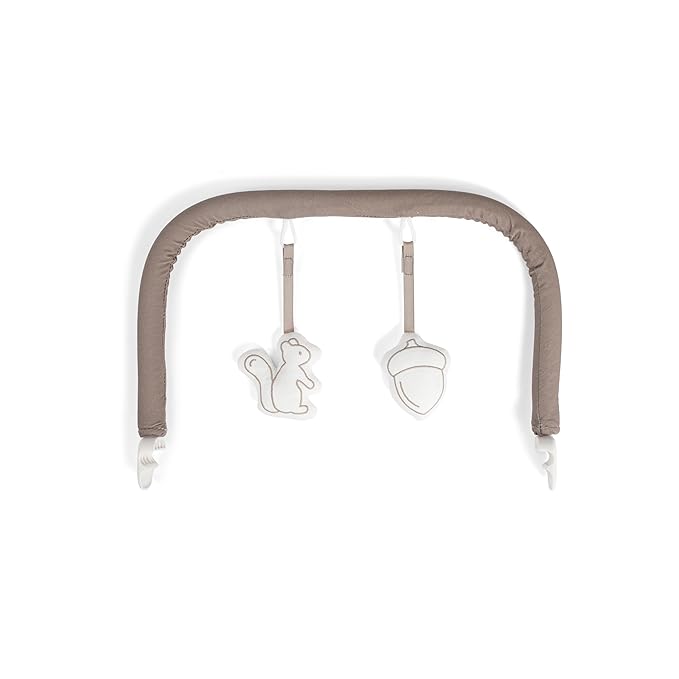 Baby Delight Alpine Deluxe Portable Baby Bouncer | Infant | 0-6 Months | 100% GOTS Certified Organic Cotton Fabric | Organic Mocha