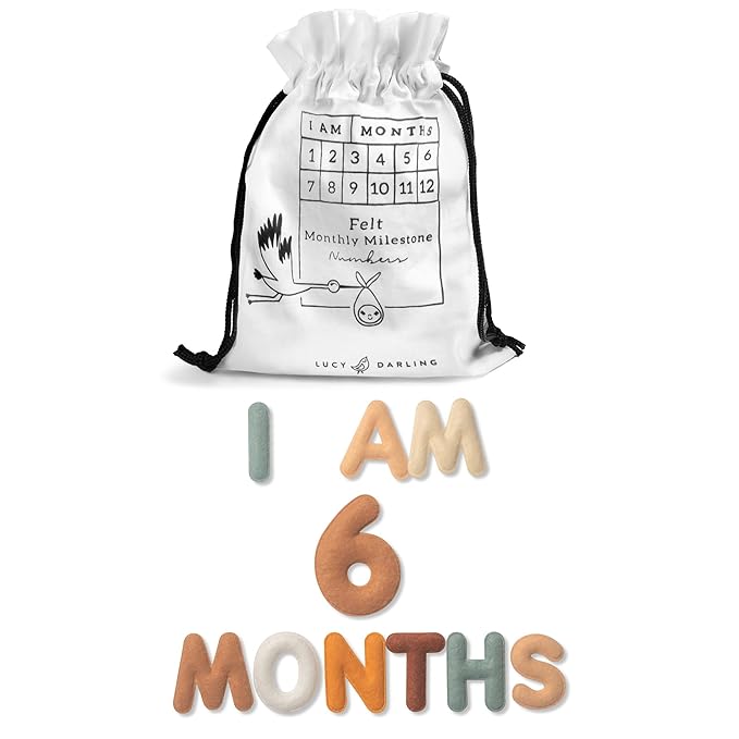 Lucy Darling Felt Baby Monthly Milestone Numbers – Signs & Photo Props – Soft Letters & Numbers for Baby Announcement, Newborn Photography – Neutral