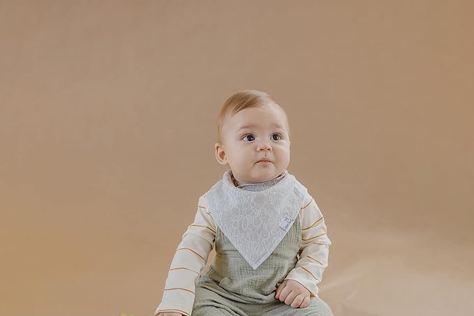 Copper Pearl Baby Bandana Drool Bibs for Drooling and Teething 4 Pack Gift Set Peter, Soft Set of Cloth Bandana Bibs for Any Baby Girl or Boy, Cute Registry Ideas for Baby Shower Gifts