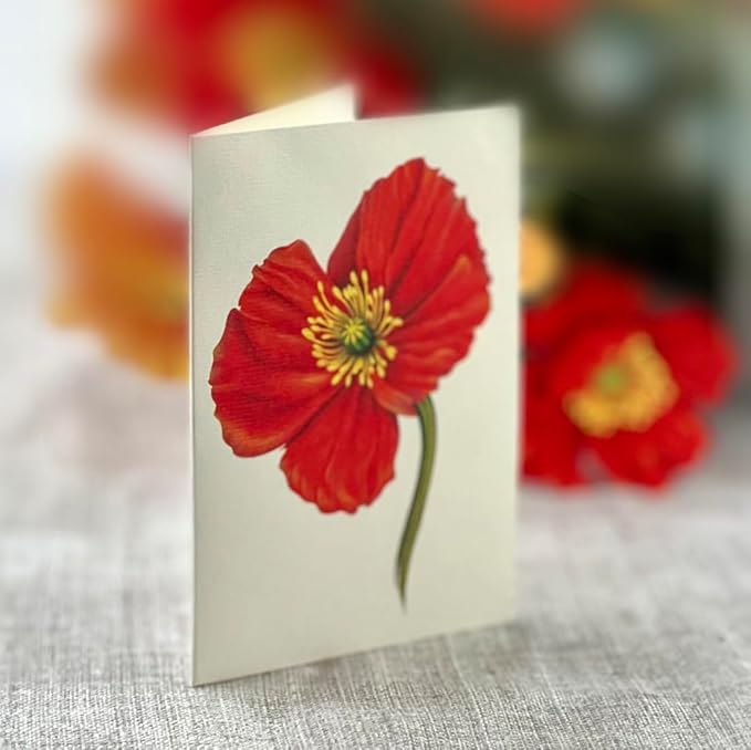 Freshcut Paper Pop Up Cards, French Blooms, 12 Inch Life Sized Forever Flower Bouquet 3D Popup Greeting Card, Birthday Cards, Thank You Card, Blank Notecard & Envelope