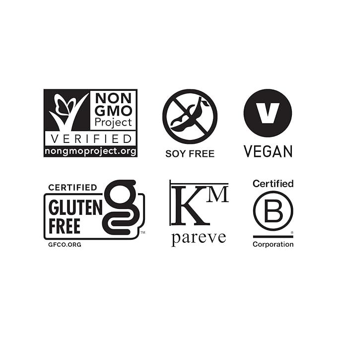 The GFB Coconut Cashew Protein Bites - Gluten Free Protein Balls - Non GMO, Soy Free, Vegan - Snack Size Plant Based Energy Balls, 4 oz (1 Count) (Pack of 2)