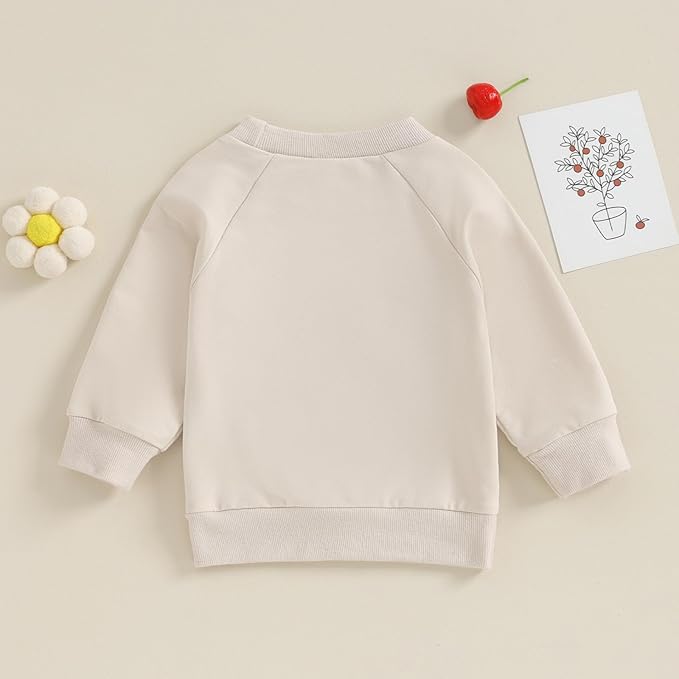 Twopumpkin Baby Toddler Girl Boy Sweatshirt/Romper Long Sleeve Sister Brother Matching Outfit Newborn Clothes