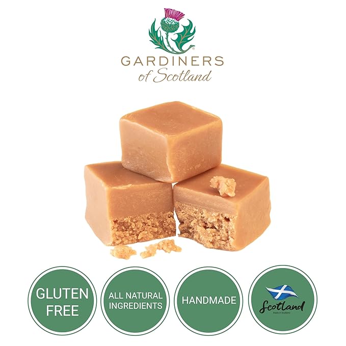 Gardiners of Scotland Handmade Fudge 250g Tin, City of Glasgow Vanilla Fudge
