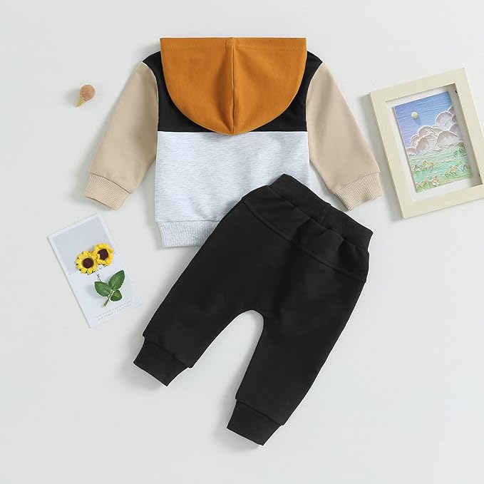 2Pcs Baby Boys Hoodie Tops Pants Set Dinosaur Deer Print Sweatsuit Fall Winter Outfits