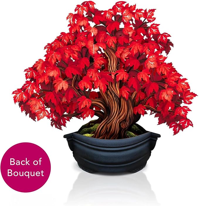 Freshcut Paper Pop Up Cards, Red Maple Tree, 12 Inch Life Sized Forever Flower Bouquet 3D Popup Greeting Card, Autumn Cards, Birthday Card, Blank Notecard & Envelope