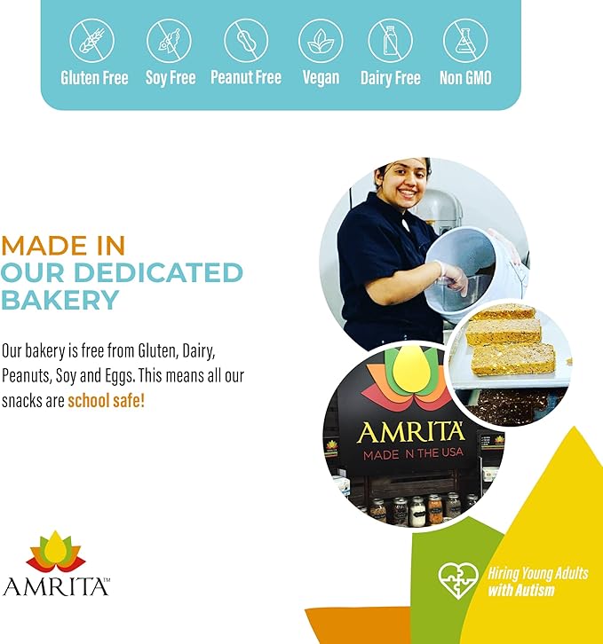 Amrita Nut Free Vegan Protein Bars (12 CT) | Chocolate Chip Coconut 15g Plant-Based Protein Bar | Peanut-Free, Gluten Free, and Dairy-Free | No Added Sugar, High Fiber, Healthy Snacks for Kids/Adults