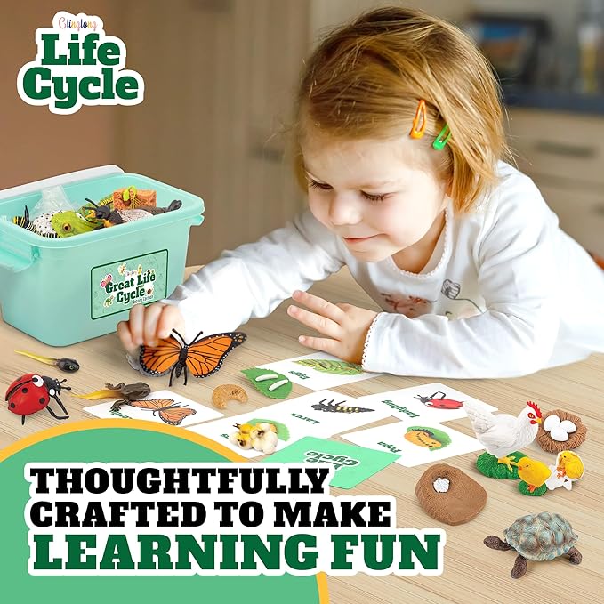 Life Cycle Animal Kit - 32 Piece Montessori Science Toy with Frog, Ladybug, Butterfly, Bee, Chicken, Turtle, Snail & Plant Figurines. Matching Game & STEM Educational Gift for Kids Ages 3–8