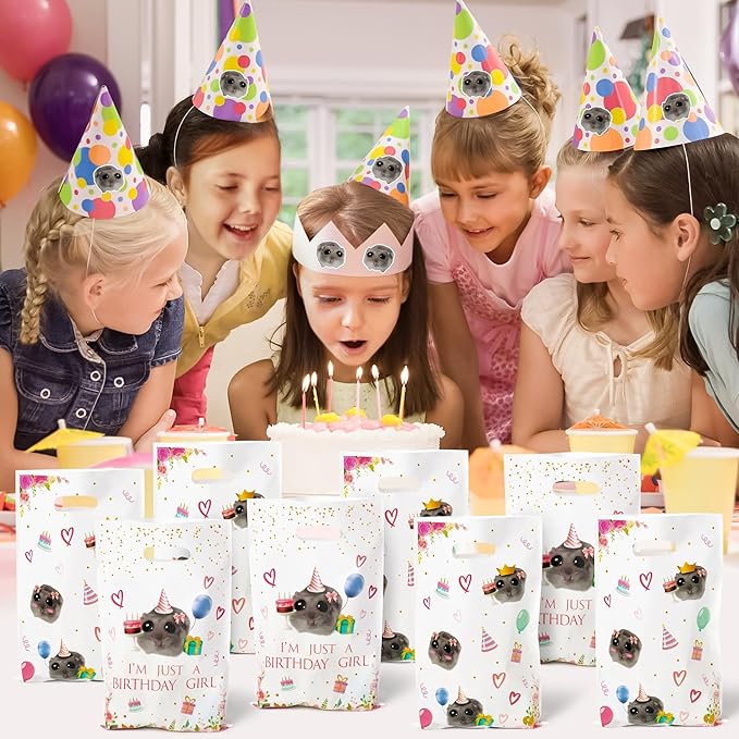 50Pcs Hamster Party Favor Bags, Sad & Cute Hamster Themed Goodies Candy Treat Bags Party Decorations for Girls Birthday Baby Shower Animals Themed Activities Supplies