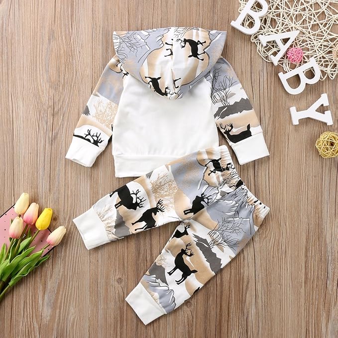2Pcs Baby Boys Hoodie Tops Pants Set Dinosaur Deer Print Sweatsuit Fall Winter Outfits