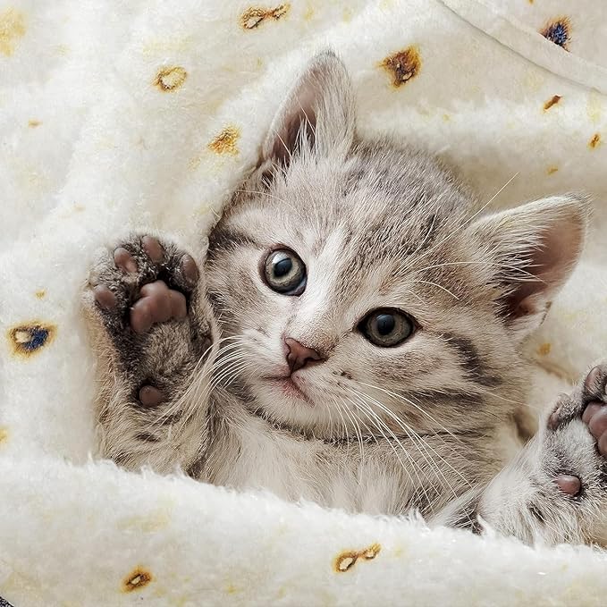 Tortilla Blanket, Baby Burritos Swaddle Blanket, Taco Blanket for Newborn Toddler, 285 GSM Soft Flannel Wearable Wrap Funny Gifts for Baby Shower Boy Girl 0-3 6 9 Months