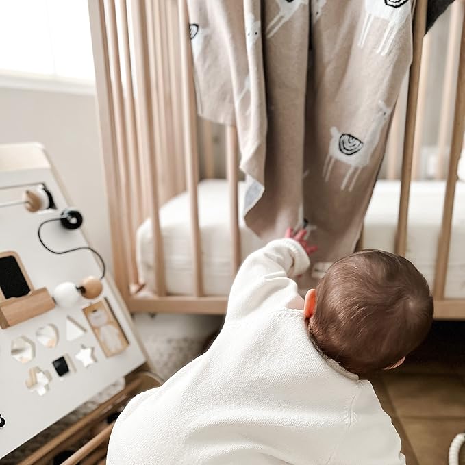 Baby Receiving Swaddle Stroller Blanket - 100% Fine Loomed Cotton Cozy Cuddle Crib Stroller Unisex Quilt Knit Blanket for Newborns Infants Toddler Boys and Girls (Llama - Baby Blue)