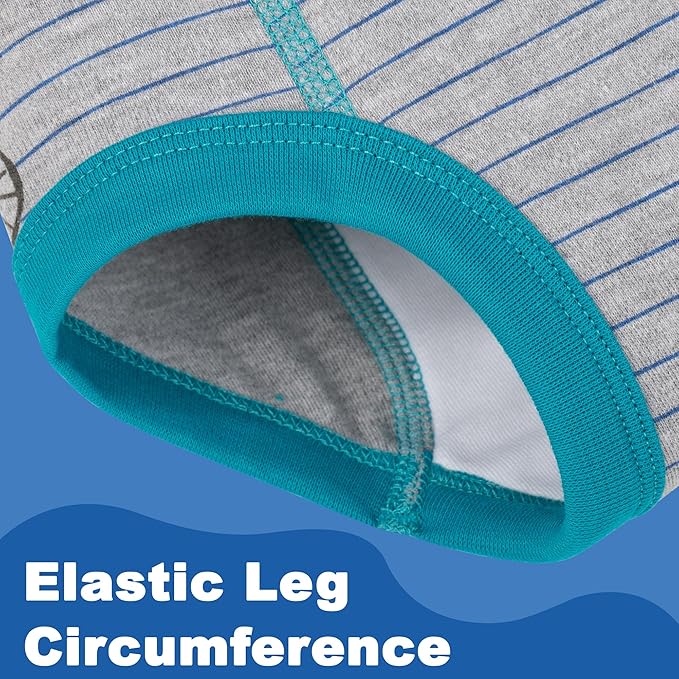 BIG ELEPHANT 10-Pack Baby Potty Training Underwear, Soft 100% Cotton Absorbent Training Pants for Boys & Girls, Ages 12M-10Y