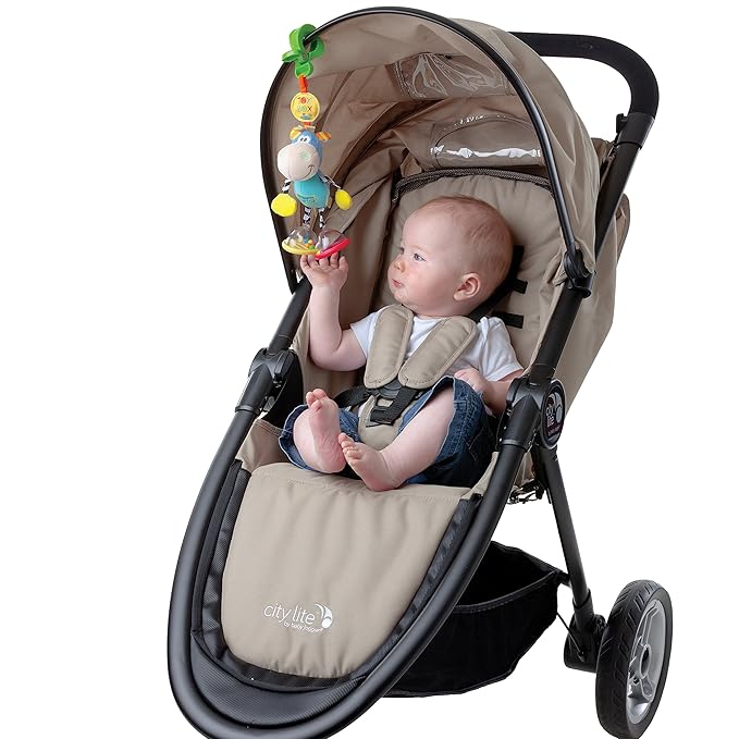 Playgro Dingly Dangly Clip Clop - Melodic Infant Rattle Toy for 0+ Months with Stroller Clip, Car Seat Charm, & Crib Hanger - Engaging Developmental Fun for Newborns - Hanging Toys for Babies