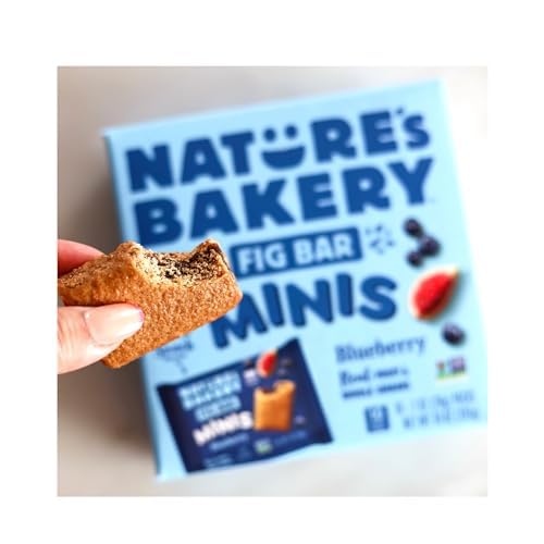 Nature's Bakery Fig Bar Minis, Blueberry, Whole Grain, Vegan Friendly, Kosher, Non-GMO, 10 Ounce (Pack of 6)