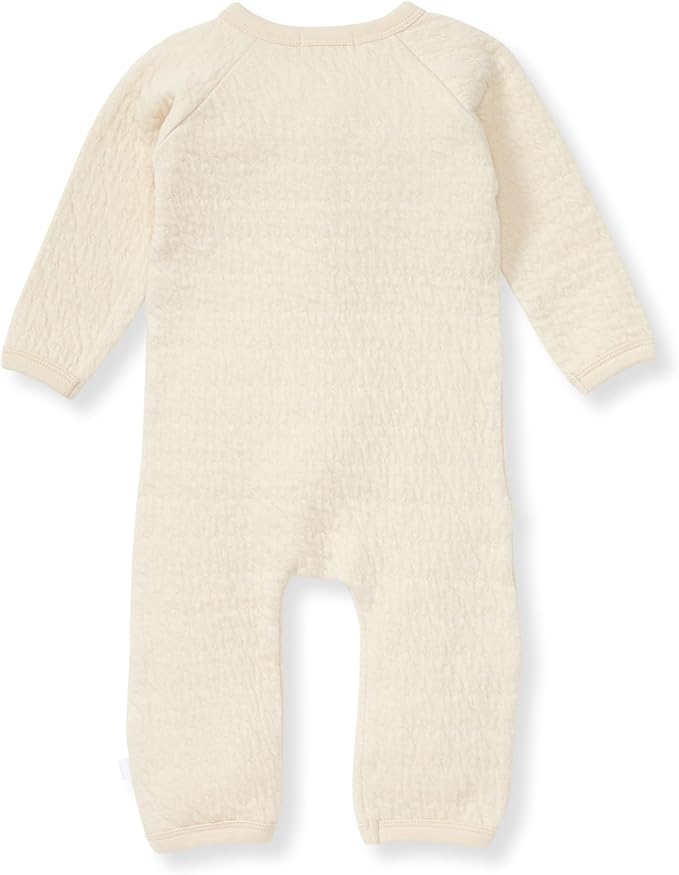 Burt's Bees Baby Boys' 100% Organic One-Piece Long Sleeve Coverall