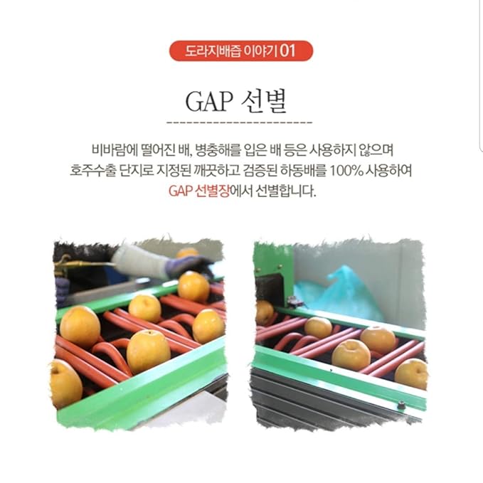 Premium Real Korean Pear, Balloon Flower Root, & Ginger Juice - No Preservatives or Artificial Additives - Natural and Pure - Health Care for Changing Season - For Men and Women of All Ages