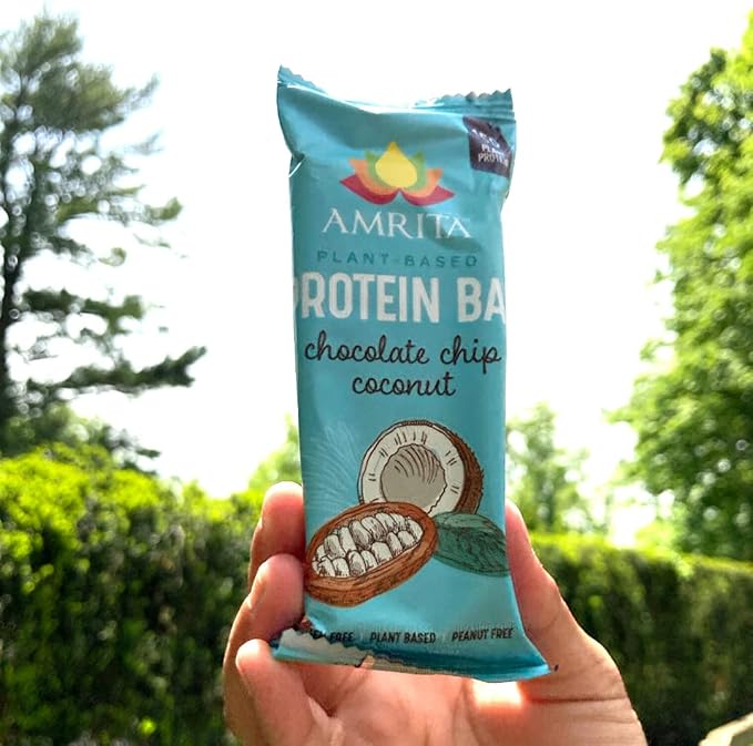 Amrita Nut Free Vegan Protein Bars (12 CT PK of 3) | Chocolate Chip Coconut 15g Plant-Based Protein Bar | Peanut-Free, Gluten Free, and Dairy-Free | No Added Sugar, Healthy Snacks for Kids/Adults