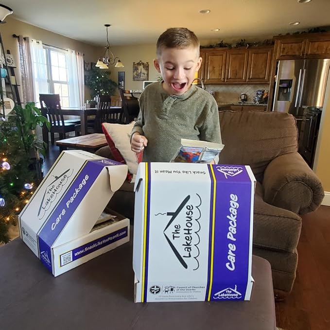 Chips Variety Pack 50 Count - Gift Basket Care Packages for College Students, Kids, Adults - Individually Wrapped School or Office Snacks with Variety Chips, Cookies, Candy from The LakeHouse