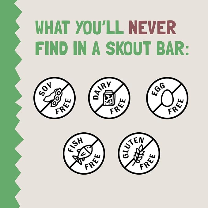 Skout Organic Apple Pie Kids Snack Bars (18 Pack) | Organic Kids Snack Bars | School Snacks & Lunch Snacks | No Refined Sugar | Vegan & Paleo | Gluten, Dairy, Grain, Peanut Free