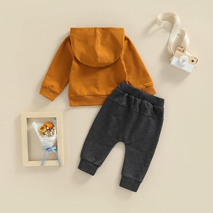 2Pcs Baby Boys Hoodie Tops Pants Set Dinosaur Deer Print Sweatsuit Fall Winter Outfits