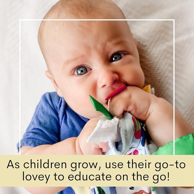 Baby Jack & Co 8x8” Learning Lovey Vermont State Tag Stroller Toy for Babies - Crinkle Toys for Developing Five Senses - Learn About Capitals - Travel with Baby Jack - BPA Free Clip