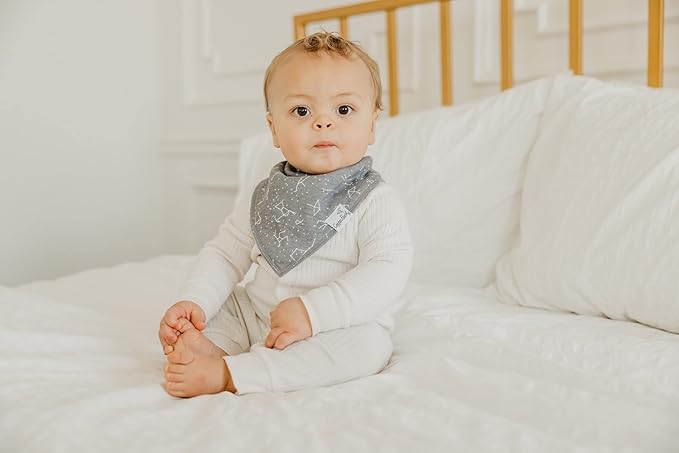 Copper Pearl 4 Pack Soft Cotton Baby Bibs for Drooling and Teething, Absorbent Drool Bibs for Baby Girl and Boy, Adjustable to Fit Newborns to Toddlers, Tons of Styles (Viking)