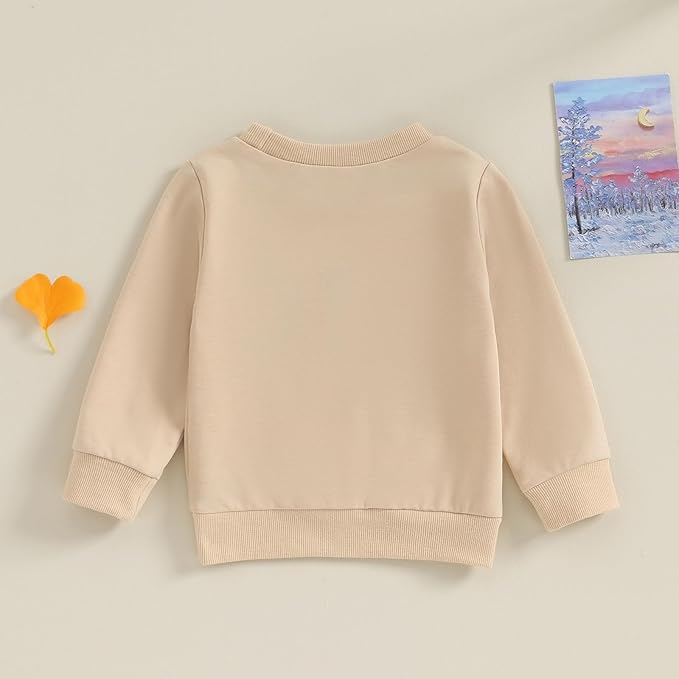 Twopumpkin Baby Toddler Girl Boy Sweatshirt/Romper Long Sleeve Sister Brother Matching Outfit Newborn Clothes