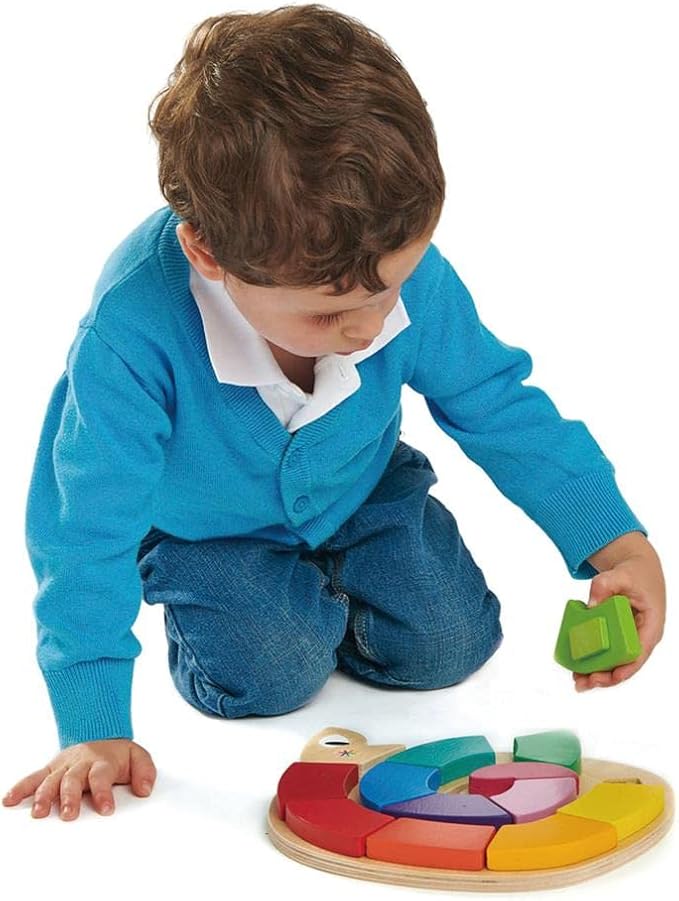 Tender Leaf Toys - Colour Me Happy - 13 Pieces Educational Colour Sorting Wooden Puzzle Toy with 3 Dimensional Shapes Underneath - Early Learning and Preschool Teaching Materials for Children 2+