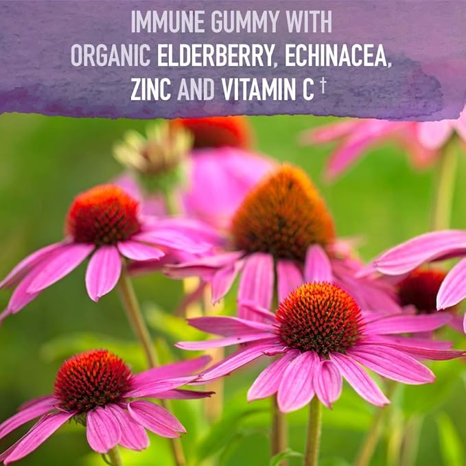 Garden of Life Organics Elderberry Gummies for Adults & Kids - Immune Support Supplement with Organic Fruit, Herbal Blend, Elderberry, Echinacea, Zinc, Vitamin C, 120 Vegan Gluten Free Gummies