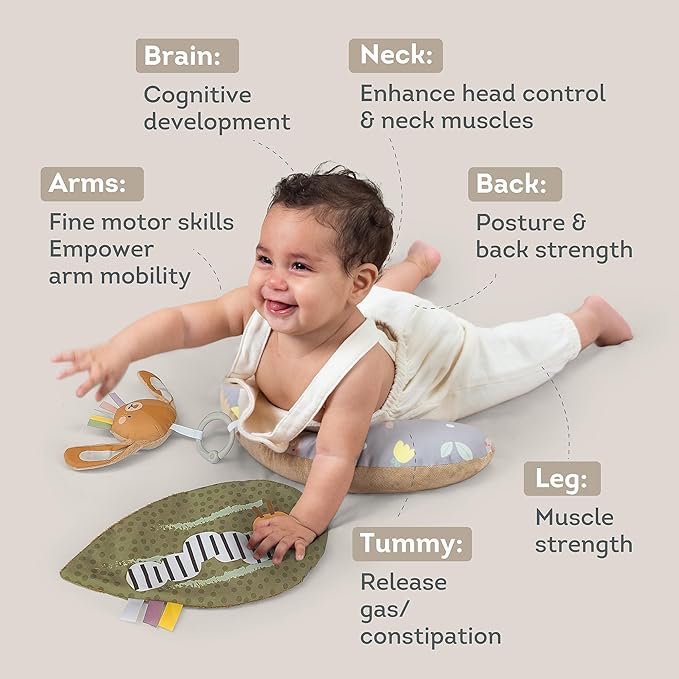 Taf Toys Tummy Time Training Set, Tummy Time Development cushion 0-3 months,Rattle Bunny, Crinckle Leaf Toys Development, Newborn Development ergonomic tummy time toy Baby Toys 0-6 Months Sensory Toys