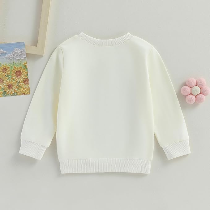 VISGOGO Infant Baby Boy Girls Big Lil Bro Big Lil Sis Matching Set Sweatshirt Romper Embroidery Sweater Toddler Clothes