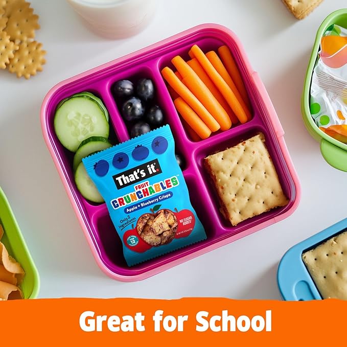 That's it. Fruit Crunchables – 100% Apple + Blueberry Crisps, 15 Pack healthy snacks for kids Plant-Based, Non-GMO, Gluten-Free, No Sugar Added, Healthy Fruit Snacks for Kids & Adults