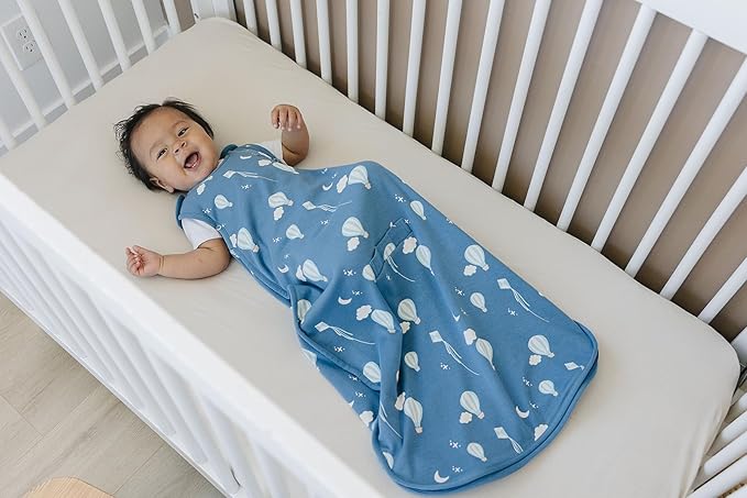 Woolino 4 Season Baby Sleep Sack - Ultimate Baby Sleeping Bag - Merino Wool and Organic Cotton Two-Way Zipper Adjustable Universal Size Sleep Sack (2-24 Months) - Hot Air Balloon