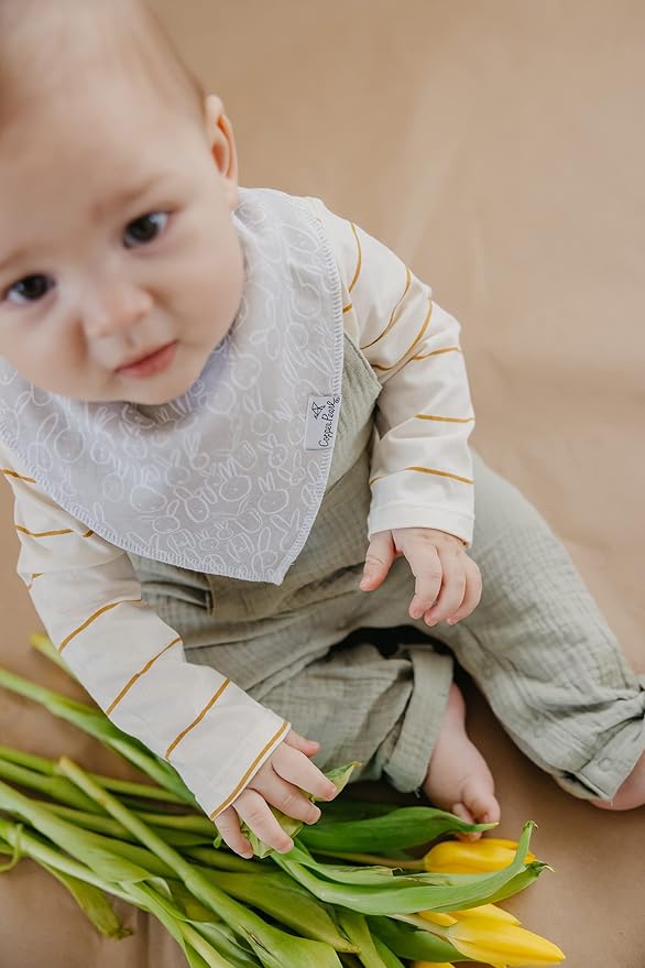 Copper Pearl Baby Bandana Drool Bibs for Drooling and Teething 4 Pack Gift Set Peter, Soft Set of Cloth Bandana Bibs for Any Baby Girl or Boy, Cute Registry Ideas for Baby Shower Gifts