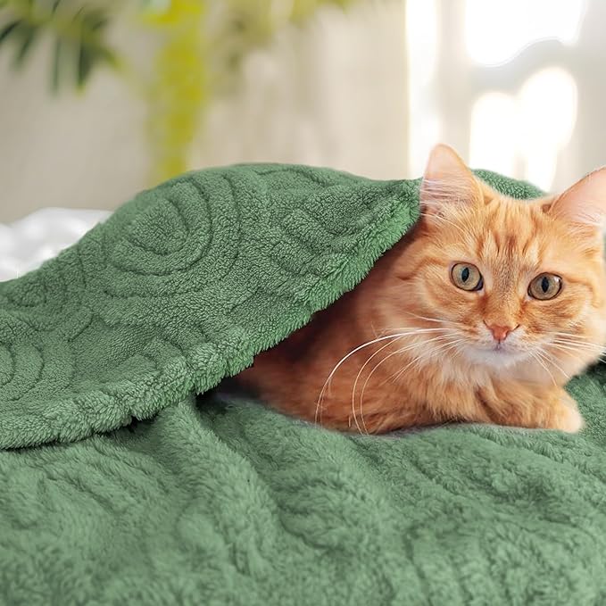 HOMRITAR Baby Blanket for Boys Super Soft Fluffy Fleece Rainbow Blankets Warmer Comfy Reversible Shaggy Cozy for Toddler Baby Nursery Stroller Crib Shower Gifts, Olive, 30 x 40 Inches