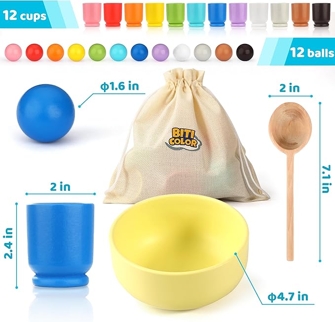 Ball in Cup Montessori Wooden Rainbow Color Sorting Toy for Toddlers - Preschool Color Matching - 12 Balls 40mm