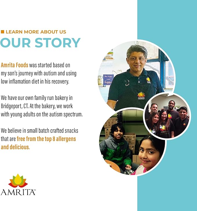 Amrita Nut Free Vegan Protein Bars (12 CT) | Chocolate Chip Coconut 15g Plant-Based Protein Bar | Peanut-Free, Gluten Free, and Dairy-Free | No Added Sugar, High Fiber, Healthy Snacks for Kids/Adults