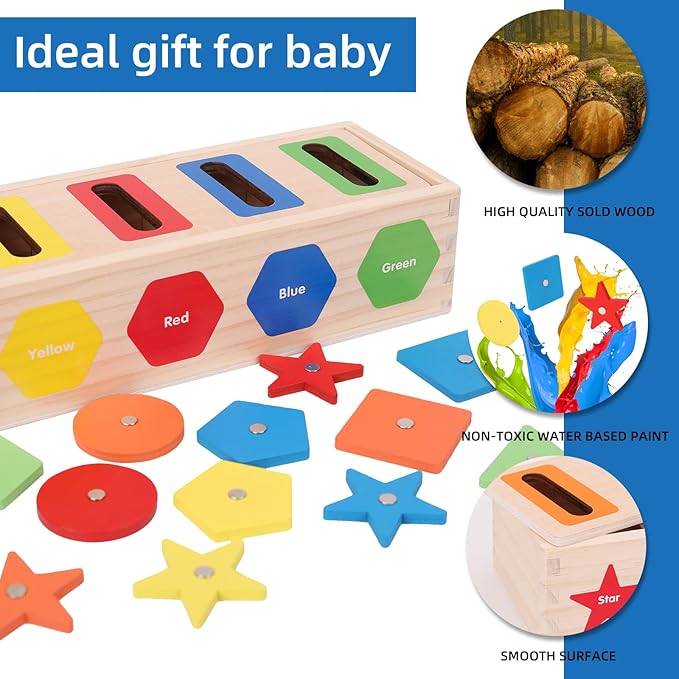 Montessori for Toddlers, Magnetic Color Shape Sorting Matching Box,Early Learning Toys,Wooden Educational Toy, Fine Motor Skills Toys for Boys Girls (New)