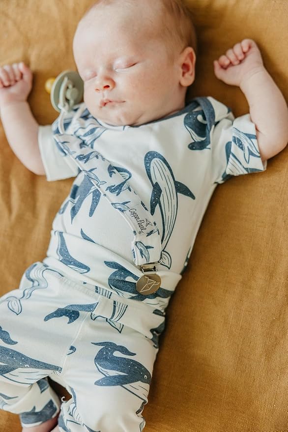 Binky Clip 3 Pack Set "Cove" by Copper Pearl