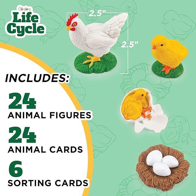 Life Cycle Animal Kit - Montessori Science Toy with 24-Piece Matching Game, Includes Butterfly, Frog, Chicken, Bee, Ladybug & Turtle STEM Educational Gift for Kids Ages 3 4 5 6 7 8