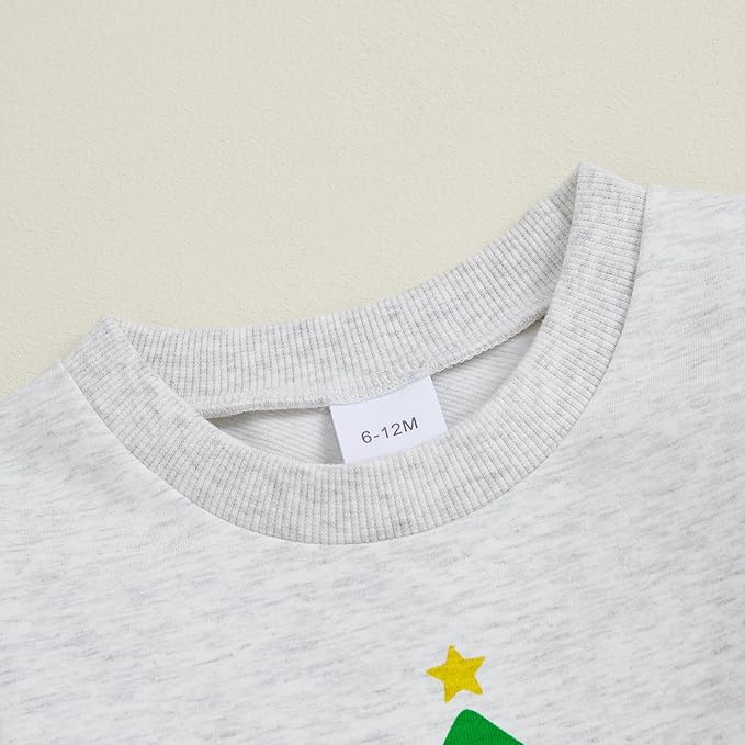 CIYCUIT Toddler Baby Boy Clothes Long Sleeve Sweatshirt Pants Set Fall Winter Outfits