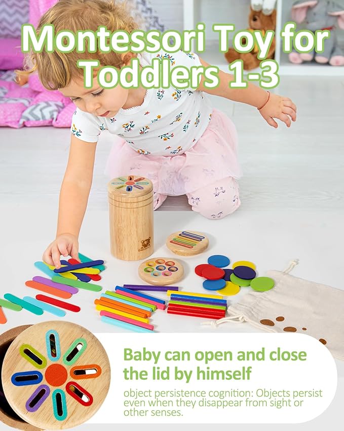 Wooden Sorting Toy for Toddlers 1-3 - Fine Motor Skills Toys，Baby Coin Bank & Color Matching Game - Sensory Educational Toy for Boys Girls TravelActivities（3in1）