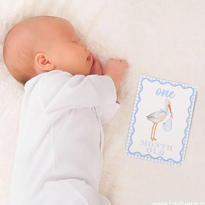 WAUAO Gingham Milestone Monthly Cards - My First Milestone Cards, Baby Shower Photo Props,Baby Milestone Monthly Memories,Boys/Girls Photo Props (blue)