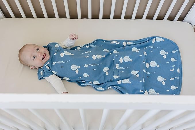 Woolino 4 Season Baby Sleep Sack - Ultimate Baby Sleeping Bag - Merino Wool and Organic Cotton Two-Way Zipper Adjustable Universal Size Sleep Sack (2-24 Months) - Hot Air Balloon