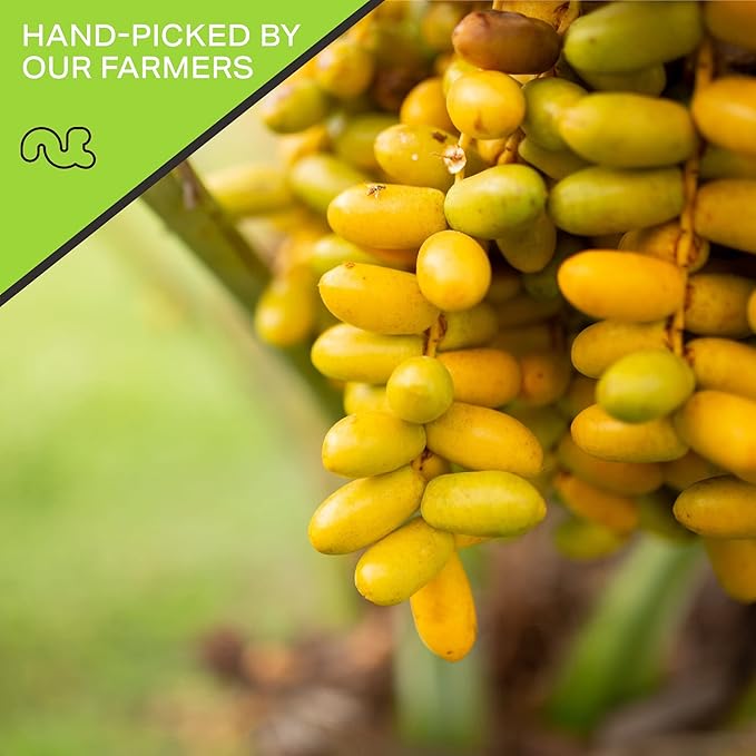 NUT CRAVINGS - Sun Dried Deglet Noor Dates Pitted, No Sugar Added (80oz, 5 Lbs) Bulk Dry Fruits Packed Fresh in Resealable Bag - Sweet Healthy Snack, Naturally Grown, Vegan, Kosher