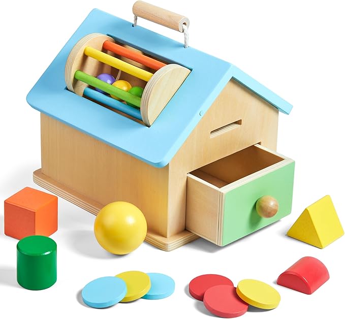 Montessori Toys for 1 2 3 Years Old Boys and Girls 5 in 1 Wooden Baby Drop Toys,Woode Shape Sorting and Stacking Learning Toys for Toddlers Wooden Toy for Kids Age 12 Months Gift for Kids