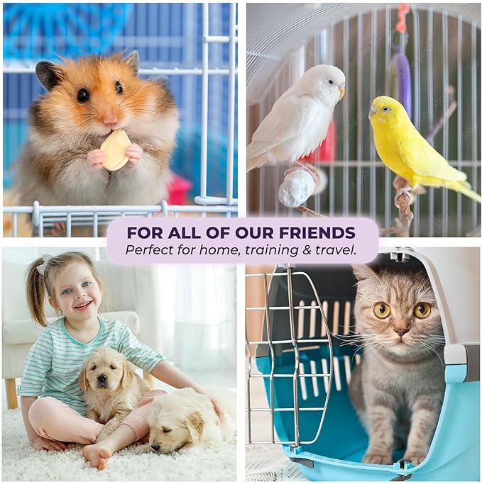 GREEN LIFESTYLE Pee Pads - Super Absorbent & Leak-Proof Pee Pads for Dogs - Puppy Pads - Waterproof Dog Pads, Lavender Scented Dog Training Pads for Cats, Rabbits (Pack of 80 - 22x22)