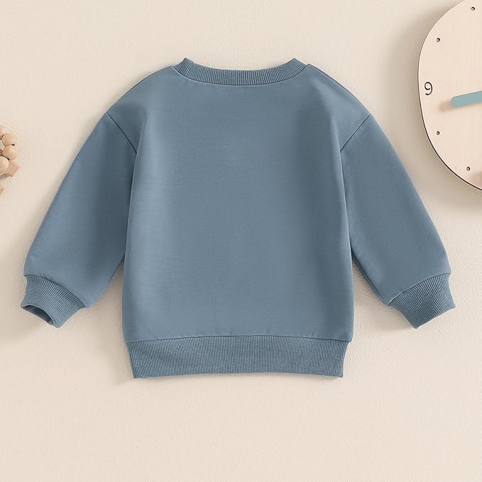 Twopumpkin Baby Toddler Girl Boy Sweatshirt/Romper Long Sleeve Sister Brother Matching Outfit Newborn Clothes