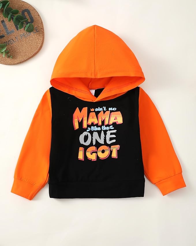 NZRVAWS Baby Boy Clothes Toddler Boy Outfit 2 3 4T 6 12 18 24 Month Fall Winter Hoodie Ripped Jeans Clothing