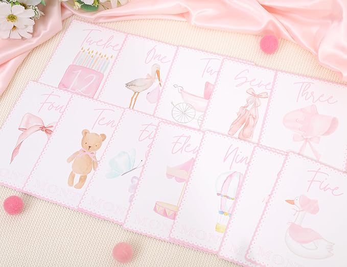 WAUAO Gingham Milestone Monthly Cards - My First Milestone Cards, Baby Shower Photo Props,Baby Milestone Monthly Memories,Boys/Girls Photo Props (pink)